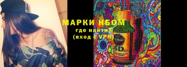 гашик Семилуки