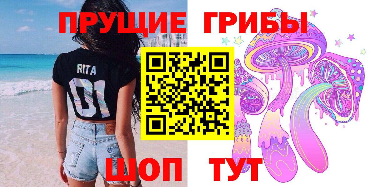 Псилоцибиновые грибы GOLDEN TEACHER Апшеронск