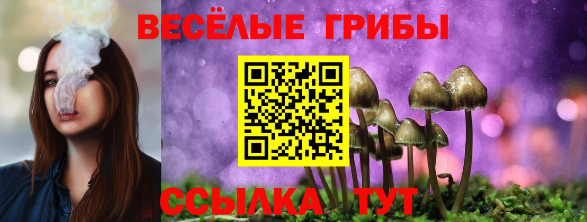 Псилоцибиновые грибы MAGIC MUSHROOMS  Галлюциногенные грибы GOLDEN TEACHER  Апшеронск  Вход с VPN 
